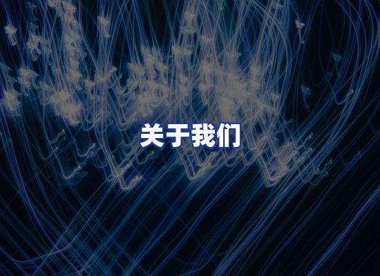 专业团队